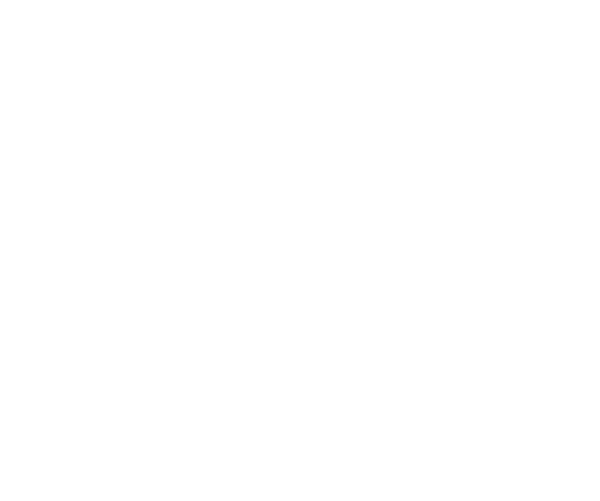 Excel Sports Management